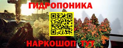 гидропоника Берёзовский