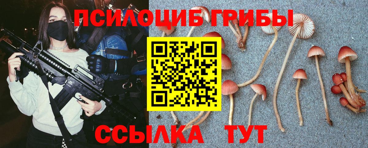 Галлюциногенные грибы MAGIC MUSHROOMS  Вход с VPN  Кимры  Псилоцибиновые грибы MAGIC MUSHROOMS 